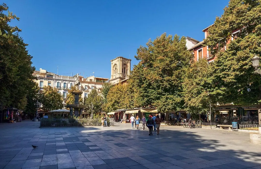 Dreaming Bib Rambla - Free Parking-1