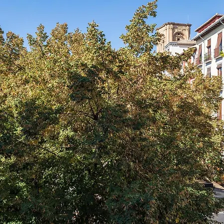 Dreaming Bib Rambla - Free Parking-2